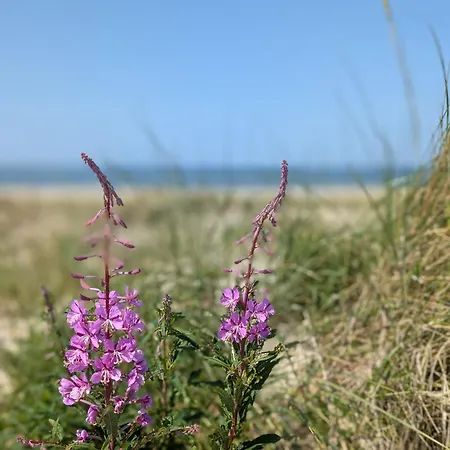 Heita An Der Nordsee Mit Xl-garten & Spielhaus Holtgast
